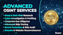 do professional private investigation and osint research