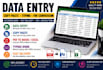 do data entry, copy paste, typing and PDF to word excel work