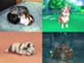 custom disney pets illustration