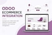 design odoo website, setup odoo erp, CRM, pos and ecommerce store