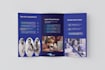 design professional trifold brochure flyer