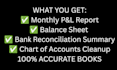 do quickbooks online cleanup and bank reconciliation