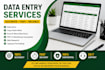 do accurate data entry, copy paste, typing and web research