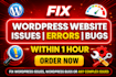 fix wordpress issues, bugs, errors and critical errors