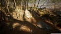 build realistic forest and outdoor environments in ue5