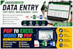 do professional data entry, copy paste, PDF to word and exc