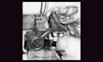 hand drawn realistic fine art illustration