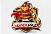 create firefighter mascot logo design with 1 day delivery