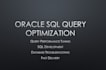 develop and optimize oracle sql queries and etl processes