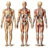 scientific diagrams and illustrations