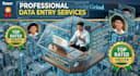 do flawless data entry web research and excel data cleaning