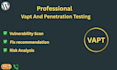 do professional vapt and pentest on website