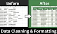 clean, format, merge, split excel data