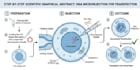 design a professional scientific poster and presentation
