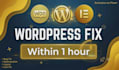 do wordpress bug fixing  and error resolution