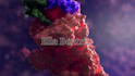 create 3d medical explainer video, 3d medical animation