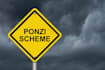 create an mlm website, invesment website, ponzi scheme creation