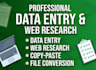 be your professional virtual assistant for data entry and web research