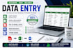 data entry ,copy paste ,typing and excel task