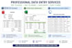 do excel data cleaning, formatting, sorting and data entry