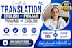 translate punjabi to hindi manually