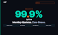 provide monthly webflow maintenance and updates