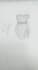 draw your custom lace evening gown