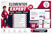 be your elementor expert and wordpress developer