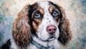 paint stunning pet portrait