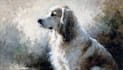 paint stunning pet portrait