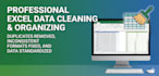 provide fast, accurate excel data cleaning and organizing
