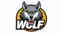 do creative a wolf head logo design your company