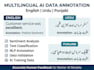 do urdu english punjabi ai data annotation and rlhf evaluation