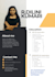 design a professional and modern CV or resume