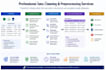 provide professional data cleaning and data preprocessing services
