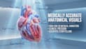 professional ai powered medical explainer animation videos
