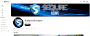 give your channel an unique identity,so it will grow faster