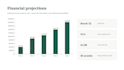 create a professional investor pitch deck with financial model