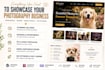 design wordpress event photography website pet photographer portfolio website