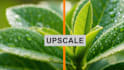upscale, enhance, and restore of photos and images