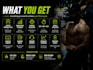 create a personalized gym workout plan