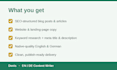 write SEO blog posts and website copy in native german