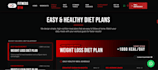 do ai software development, full stack website backend, front end developer