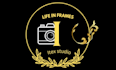 create luxury logo design for startup