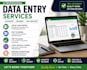 do accurate data entry, excel data entry, excel data entry, copy paste