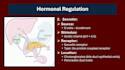 create a professional medical powerpoint presentation