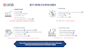 create a professional financial analysis presentation