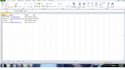 do accurate data entry and ms excel or google sheets work