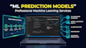 python data science and ml expert data analysis, preprocessing and prediction