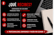 write professional articles and blog posts in spanish